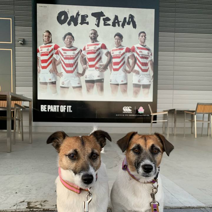 5ef50e97 68e1 4aa7 bd38 265d73f15fac 1609758106713