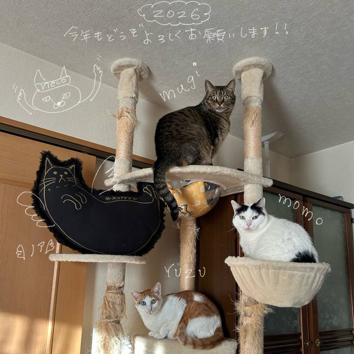 5ef53495 8fa8 4341 80eb 9ee4ab428aac 1767775409317