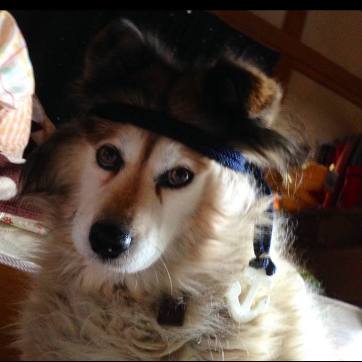 5ef534ee bbf2 46ed 9678 30cd109aaa7e 1633496587503