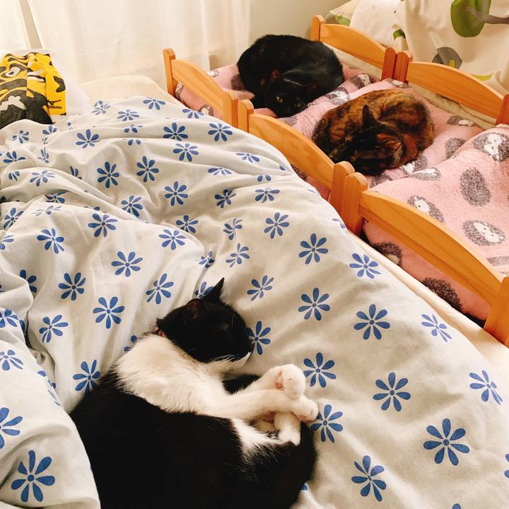 5ef55c1d a049 4a97 87ef cbd0bfbe2b39 1557193605176