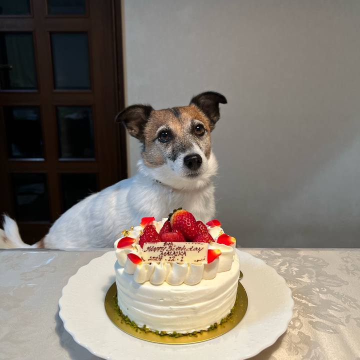 5ef56090 8601 4aca b5d1 c03f7396f795 1733054641024