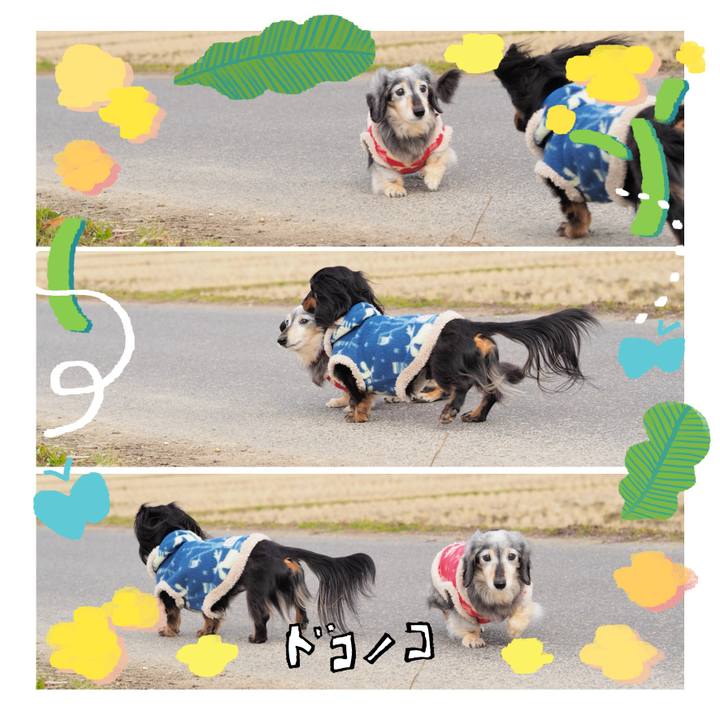 5ef56245 f385 47cf 97bc 067f5e125287 1744273394357