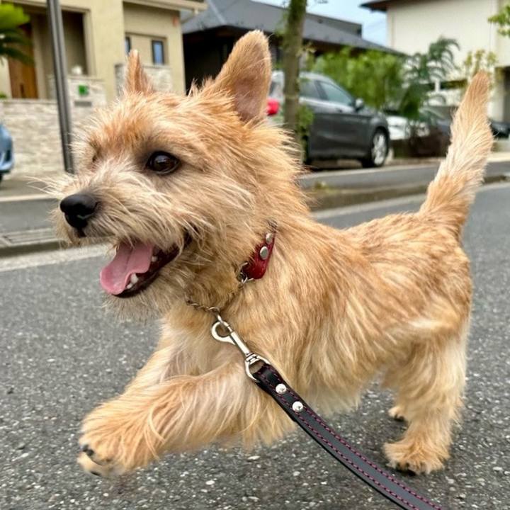 5ef5998b 8f9e 4281 97b6 f512f24e691d 1720662960852