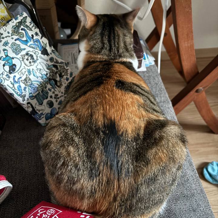 5ef5aff4 8f6e 4350 9c46 b784959a91b6 1761810238158