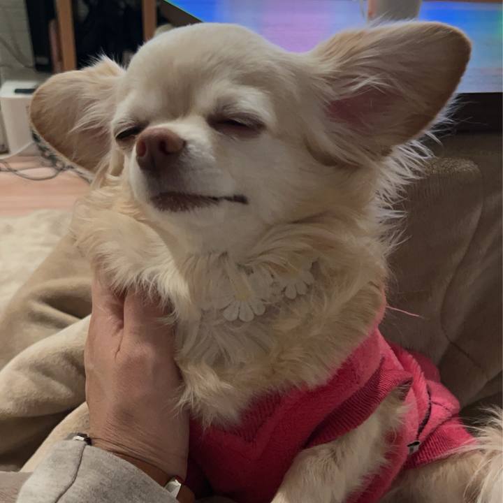 5ef5db18 7bee 47f5 b8bc 6400c231771e 1768978688475