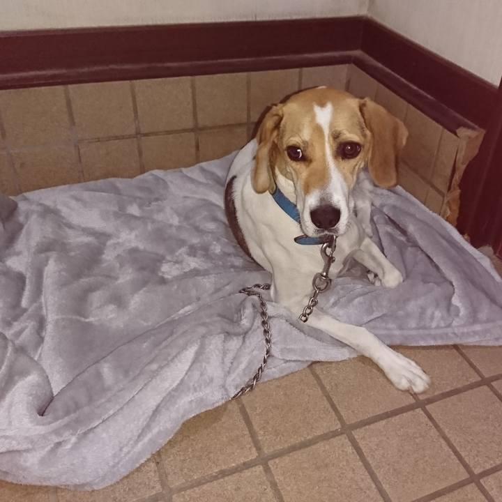 5ef5f01e 414a 403d b6dc 7e7bdfe88aef 1568346717225