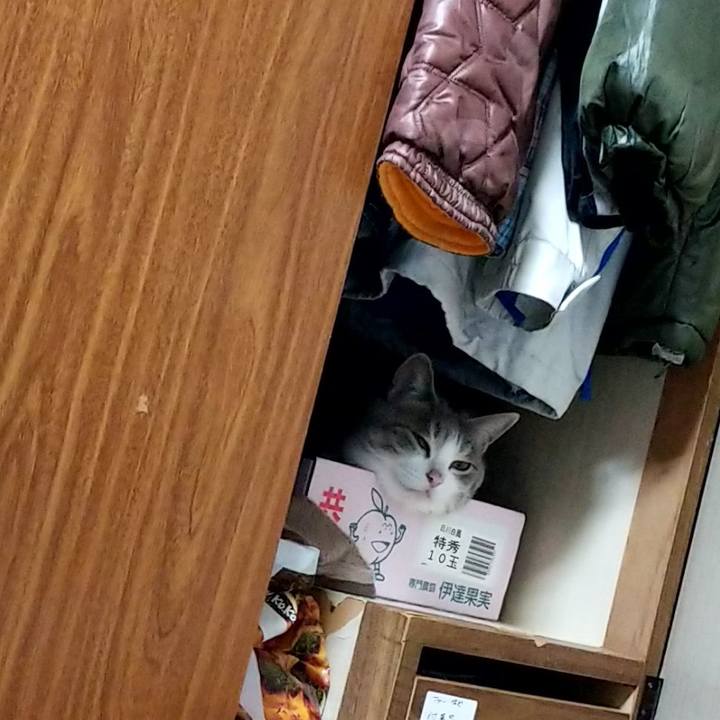 5ef5f122 38c3 4481 85a7 d66776cdfddf 1565226538890