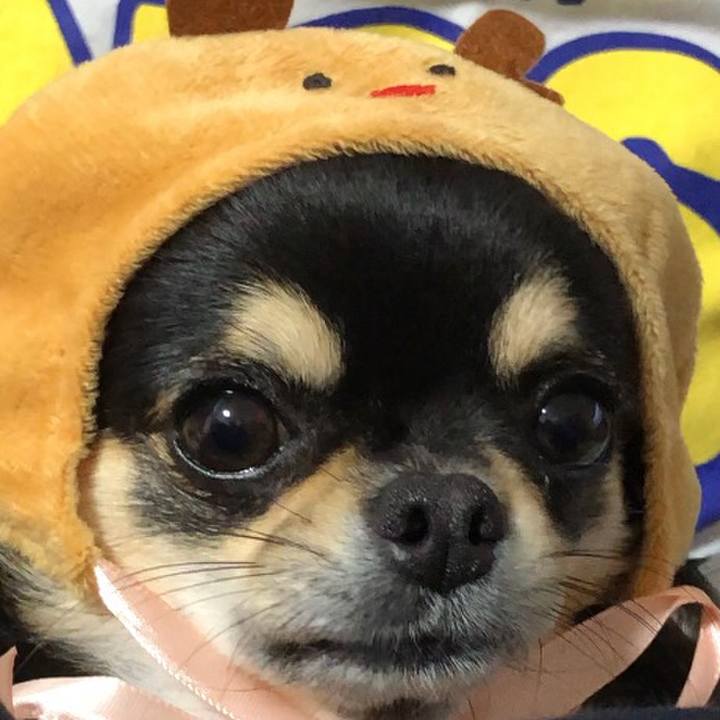 5ef622fd d3d2 4177 9632 52c943067c67 1575501775075