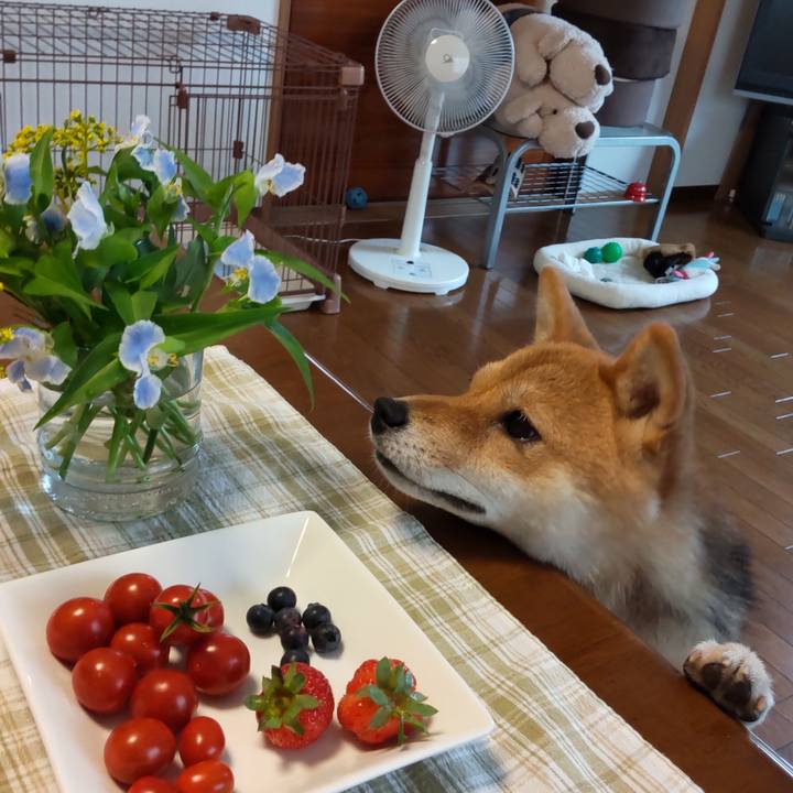 5ef64361 2e78 403e 99f6 a5b32be9549a 1625877793255