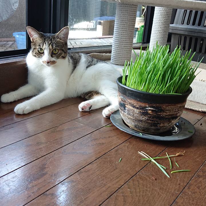 5ef6514a d76b 48f7 ab35 a4feac4d371b 1567381830645