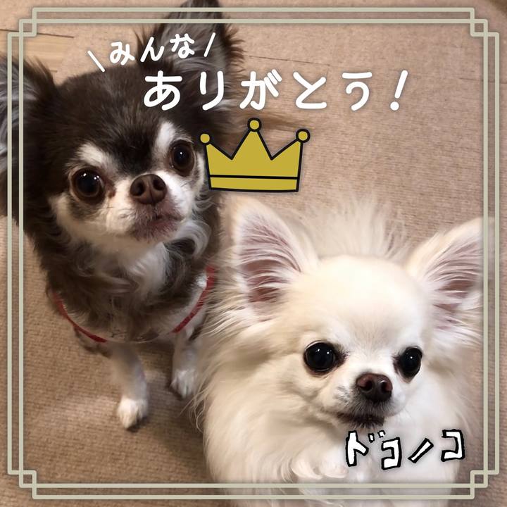 5ef6880a 2c01 4df3 be90 7cef98df952c 1622963036995