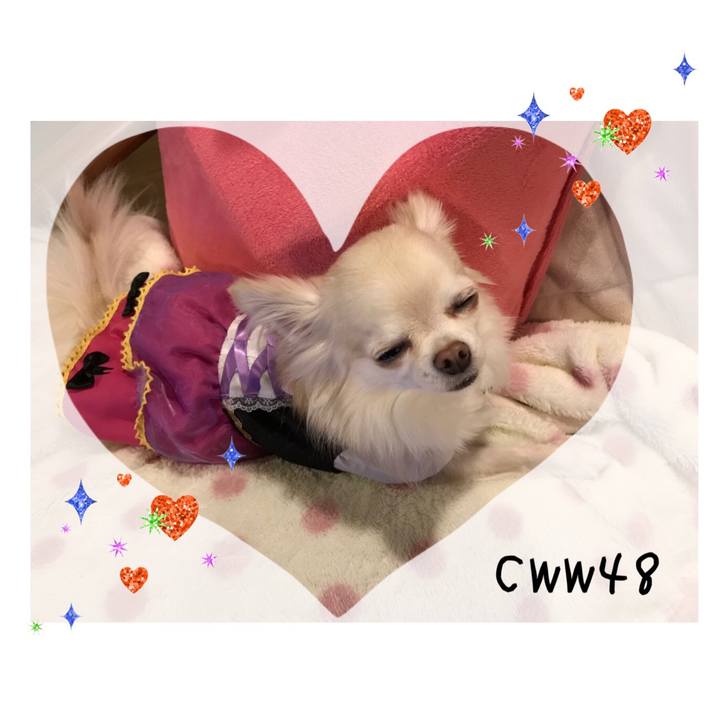 5ef6a4d3 1003 4c86 b427 3cc8237e6d1d 1509287945141