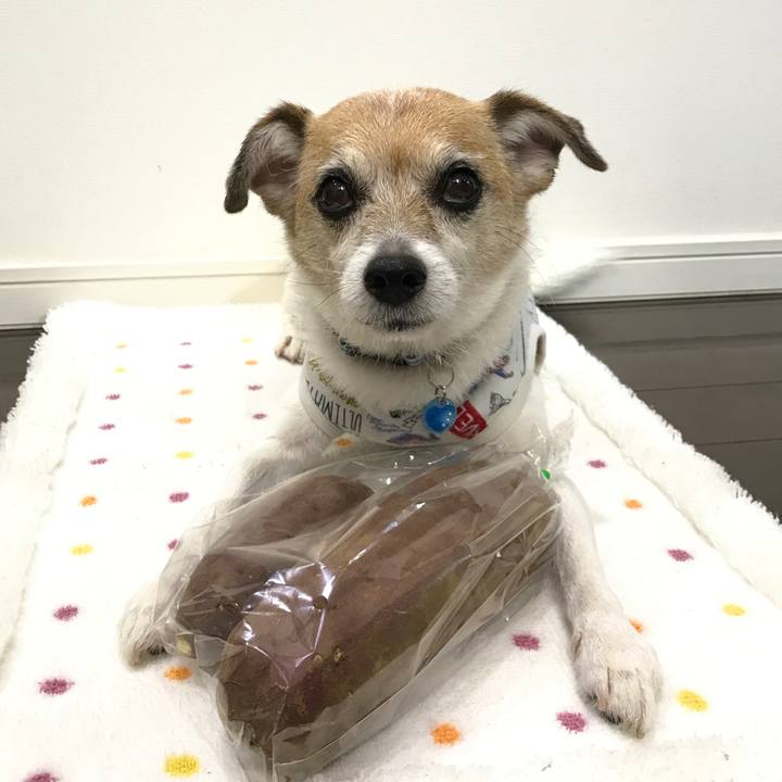 5ef6aa9e 0ca2 48ee b49d 9792cd50815d 1633686613713