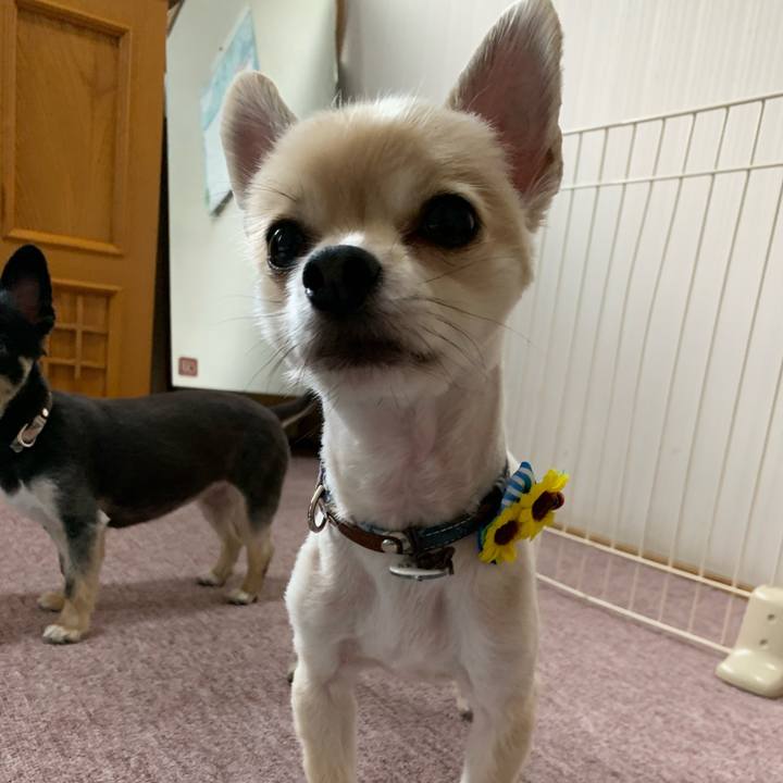 5ef6af25 73cb 4781 b562 da0094d1c379 1621771623827