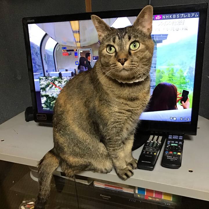 5ef6b2d1 48bd 425e 8287 1c51e31c3068 1687177609338