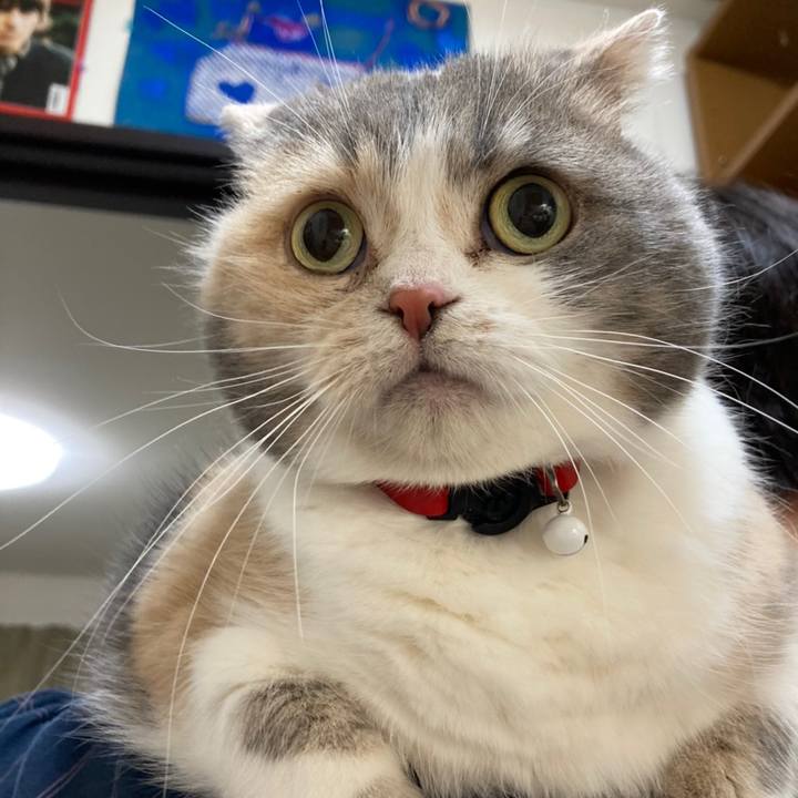 5ef6d125 434c 420b a42b c501b47e7c77 1617497530807