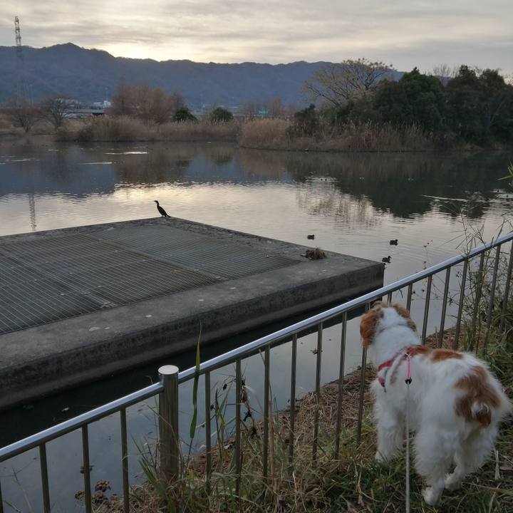 5ef71b69 dfa8 4f0c 8c7a ae95cbfbddcd 1609721703879