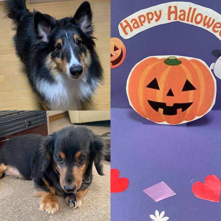 5ef75e14 469a 4650 b068 18a77f5a7af0 1604094496060