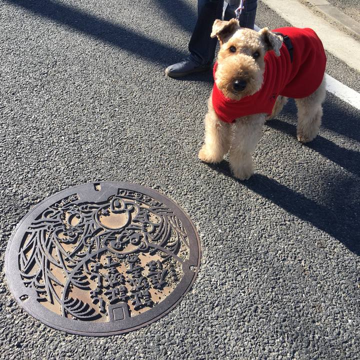 5ef76b7e 02ae 4f24 af06 ecb57f3f85a1 1515071170935