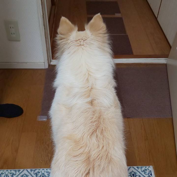 5ef76d91 5fe0 4bdb 8420 33135c84cf51 1746954052861