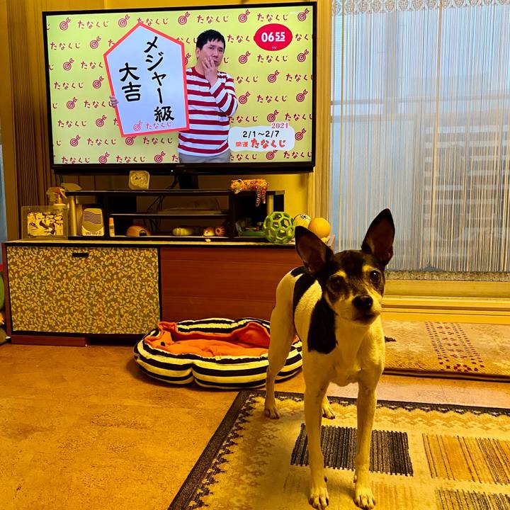 5ef77b9e fab5 4a4b a737 1be6d6b8e4bf 1612130858490