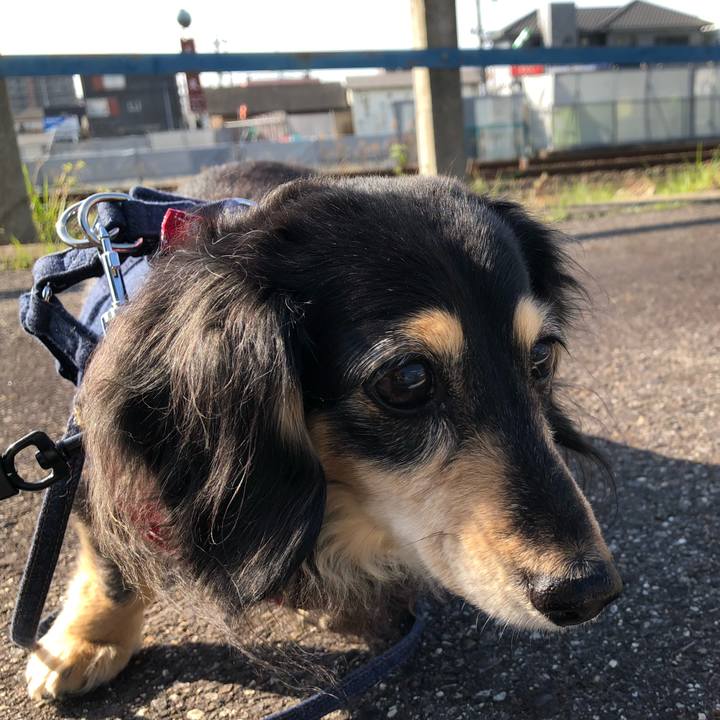 5ef7928b ae7c 4ba7 b0fc cb157408a273 1615335746825