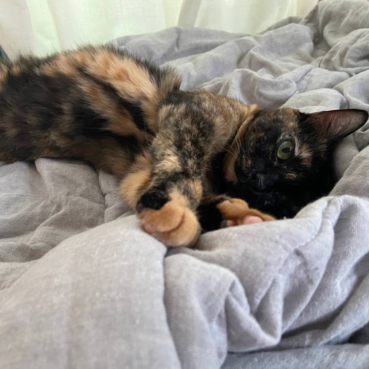 5ef7a089 c3d1 49d8 8098 ba6a8bcbabb1 1688595329695