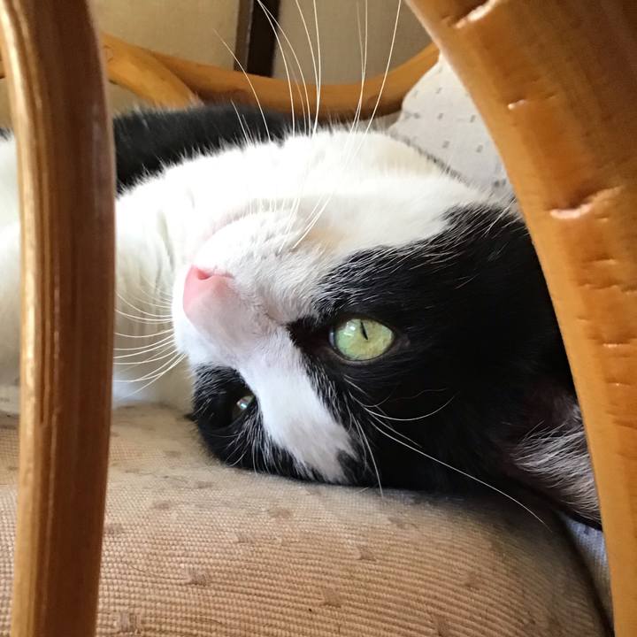 5ef7bcd2 7f8a 435e 8fd5 ff52fd41c249 1757229902039