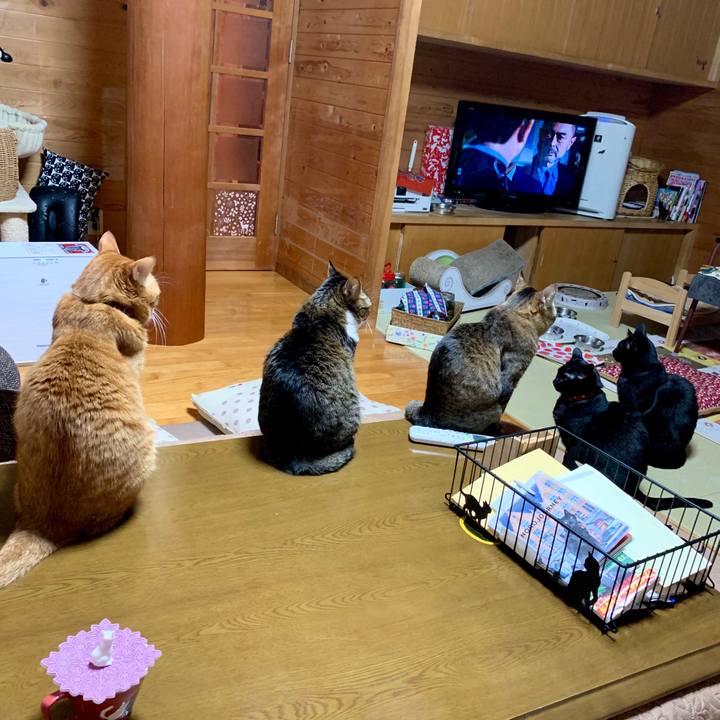 5ef7cef7 0c65 4bfe 81f6 87442a670931 1580299796792