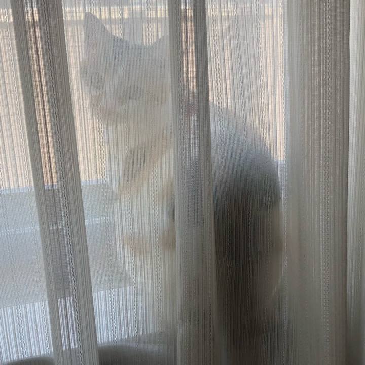 5ef80db6 7995 4041 875e f52f0c74d4ec 1592351284817