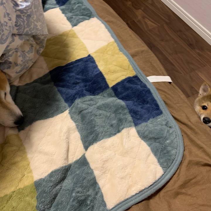 5ef81076 554b 4d5e ae5c 44849833c209 1618054906927