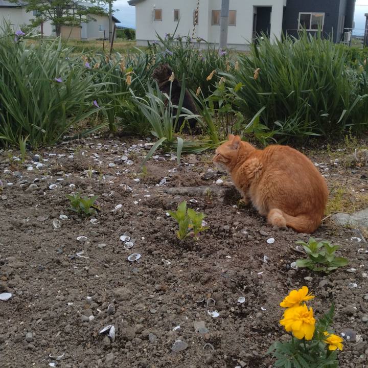 5ef82036 145c 4e2d bf89 968bac6a3896 1715160204392