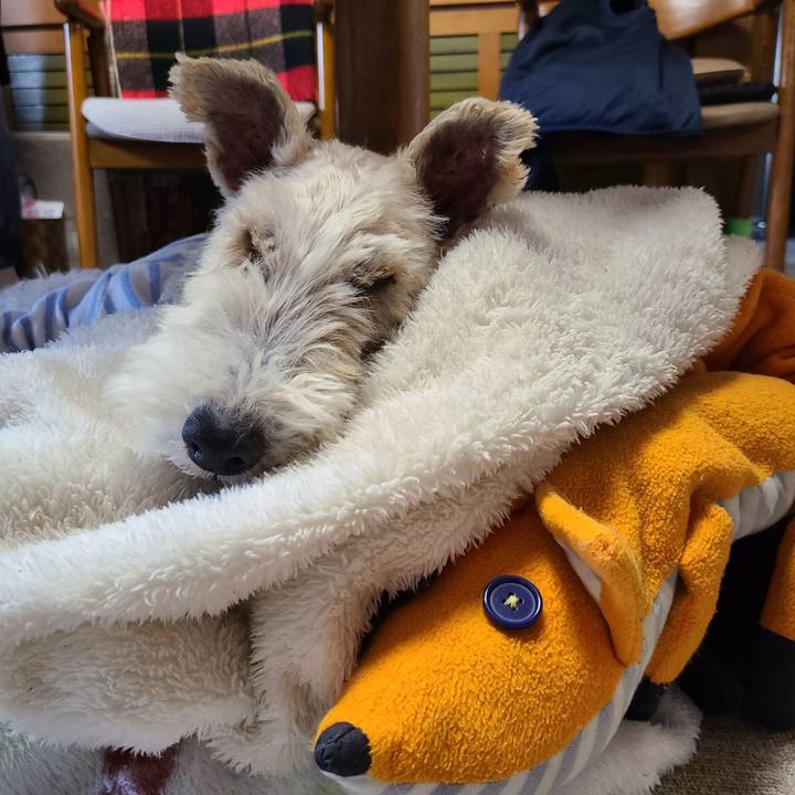 5ef830c7 df83 40e6 8ad6 5e9f8bd9cb7c 1673781250988