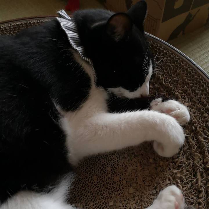 5ef83305 8da5 4aba 8104 8bc1141f0e87 1663549100676