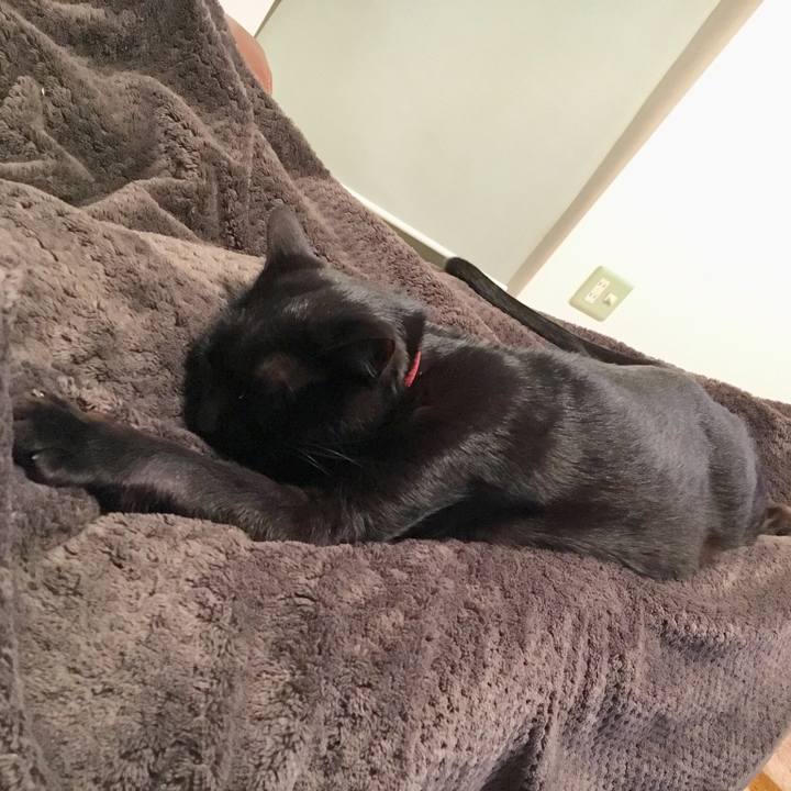 5ef83925 5bf5 4055 a542 cf1a44366158 1520250981955