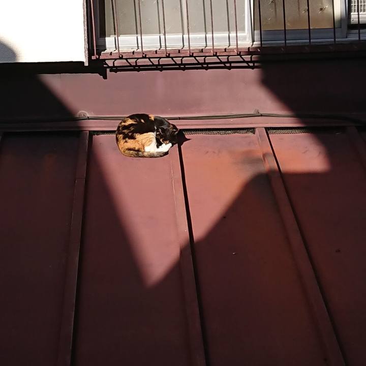 5ef88169 aa53 4ff5 a08e b0762ed25102 1675574466153