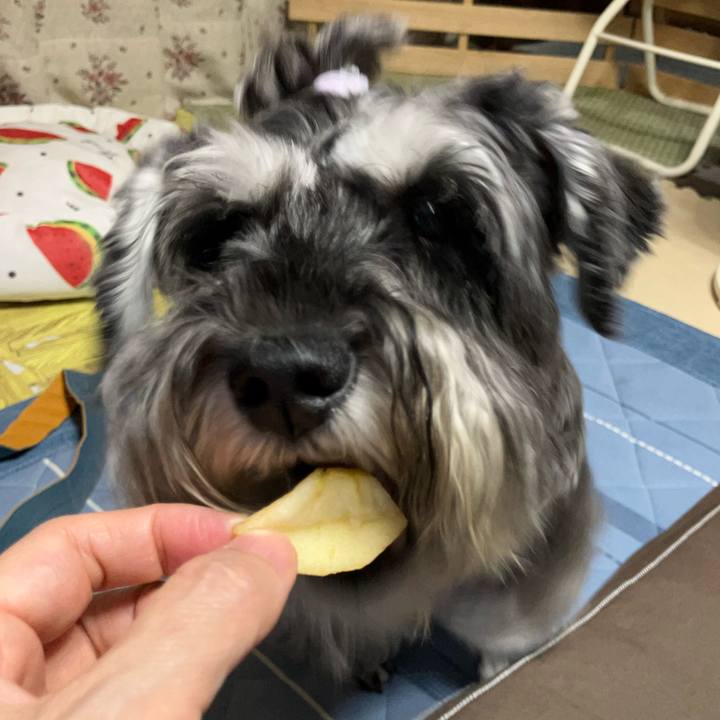 5ef88633 0d4f 42cc 8f46 b9c6ffa98c82 1726311173205