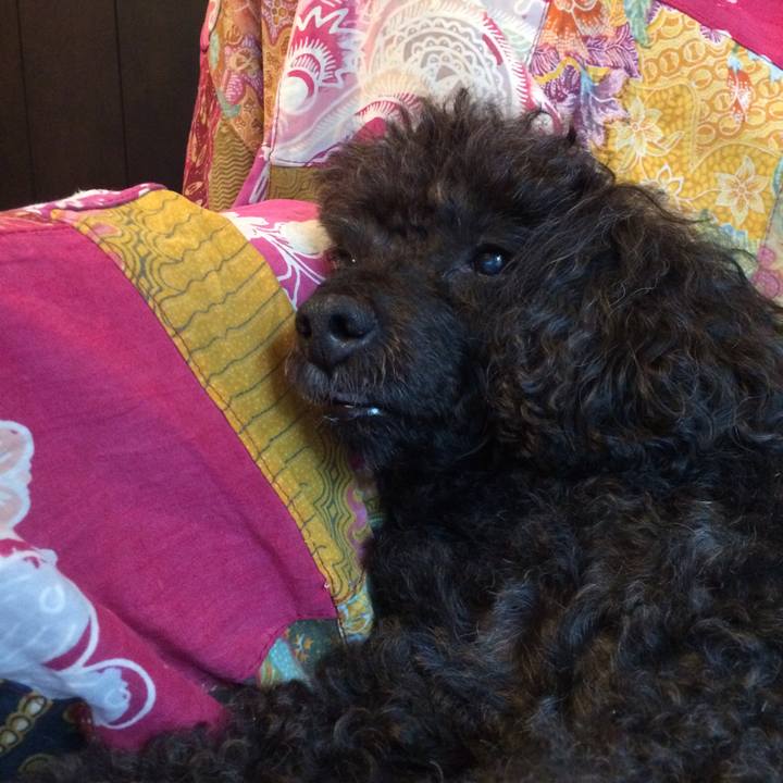 5ef8b15f 25c2 4e4d 968f dc31f809416f 1508646632447