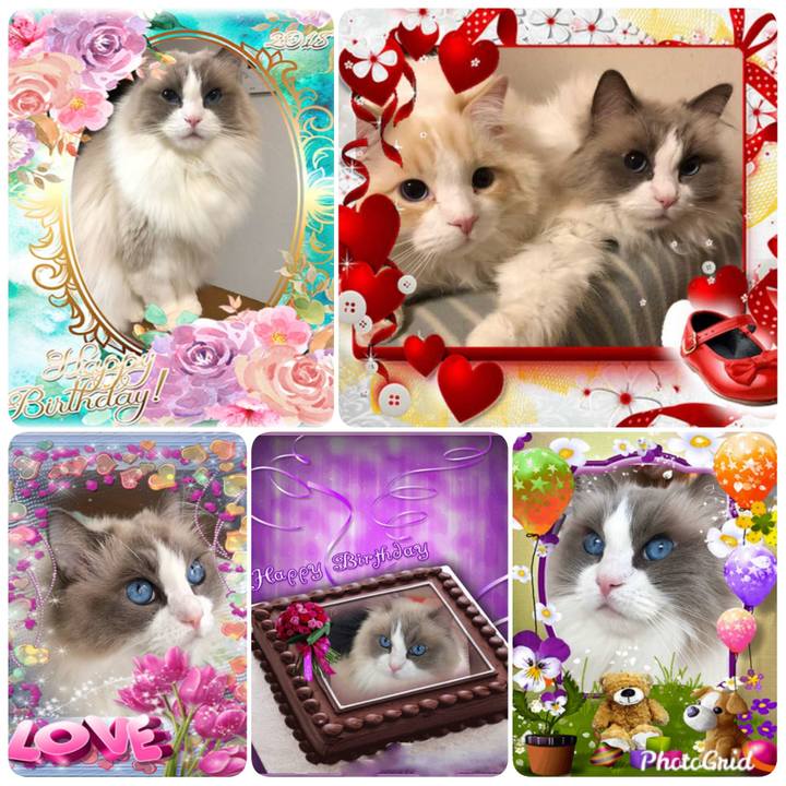 5ef8da7f c4f0 4979 a611 7bc475a3a890 1568758743791