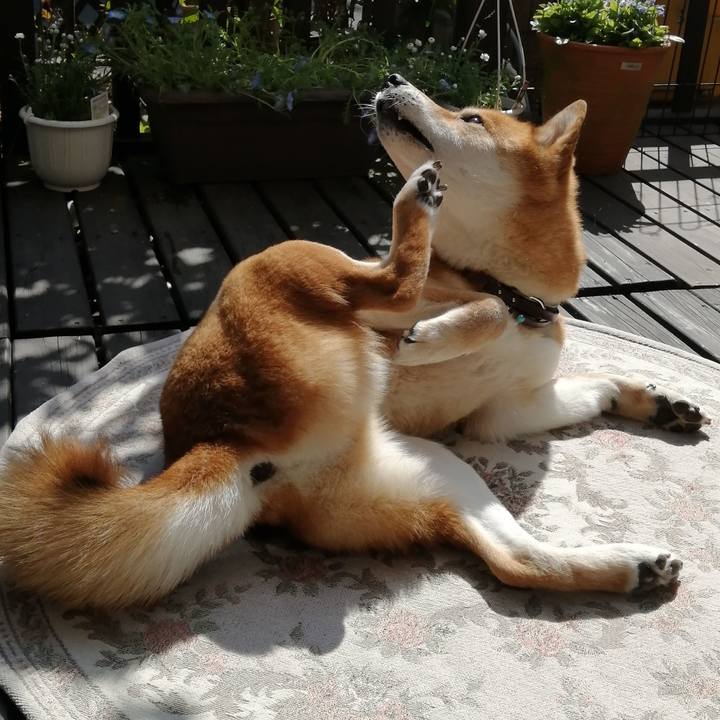 5ef91838 c79e 427d bfc7 f6c70f720a4f 1583727417767