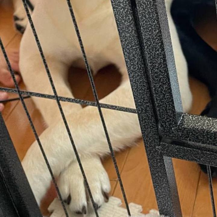 5ef91e00 0796 48e5 bf93 0882e7d337bd 1644064522561