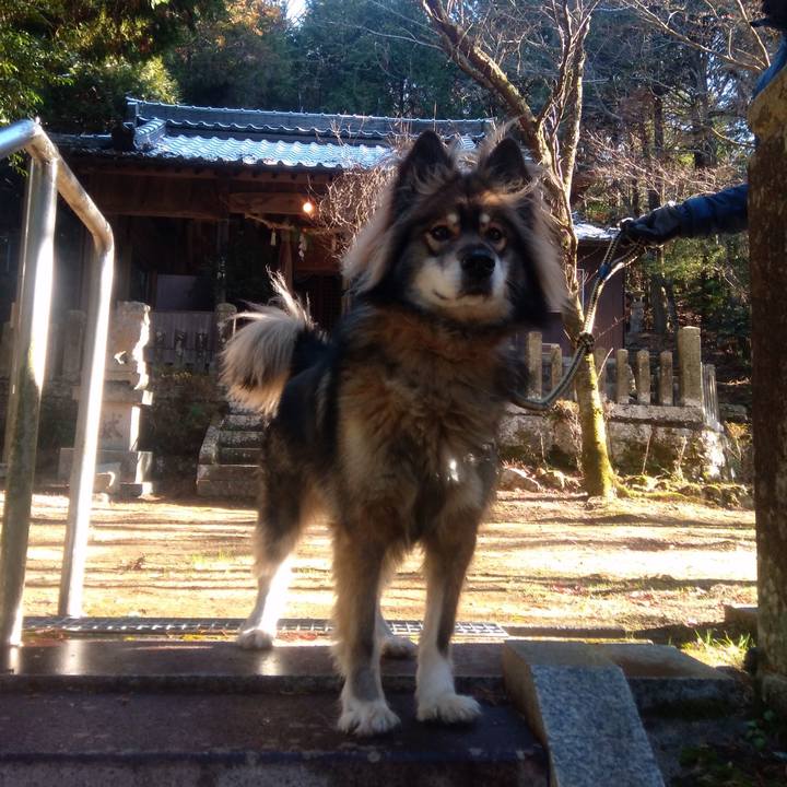 5ef96d62 3559 4e7a 9f55 f62b99bed7e7 1641009004076