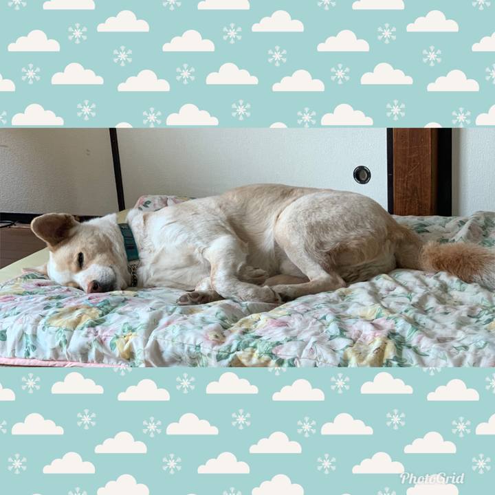 5ef99701 bd38 4133 b030 e6e9a8a3c03a 1556505054936