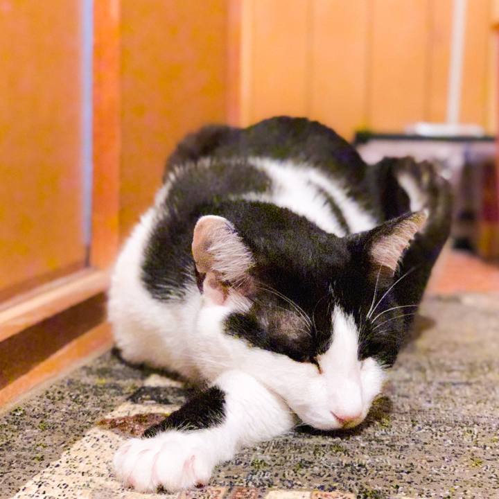 5ef9a495 b741 43e1 b1d2 fcbd9e4ce387 1566957215664