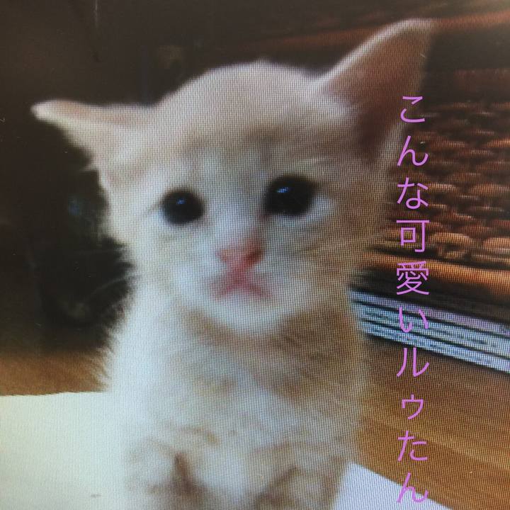 5ef9a4c6 e2c0 4fa4 b50c ad0ae53480a9 1548848869659