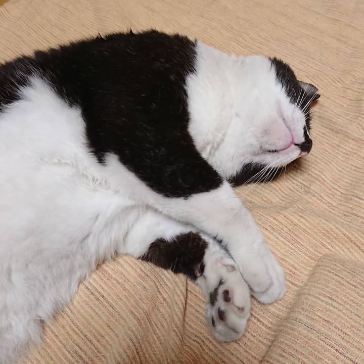 5ef9d34b 1519 4344 a5d3 d6a029d1e862 1592469827483