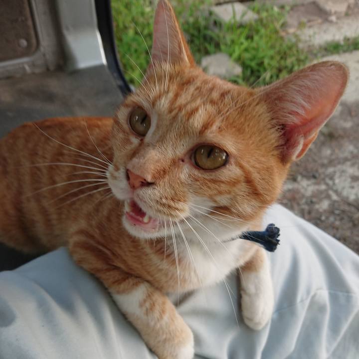 5ef9d3c3 ee6c 4ce8 9051 3b1ccdee7c7f 1565253949785