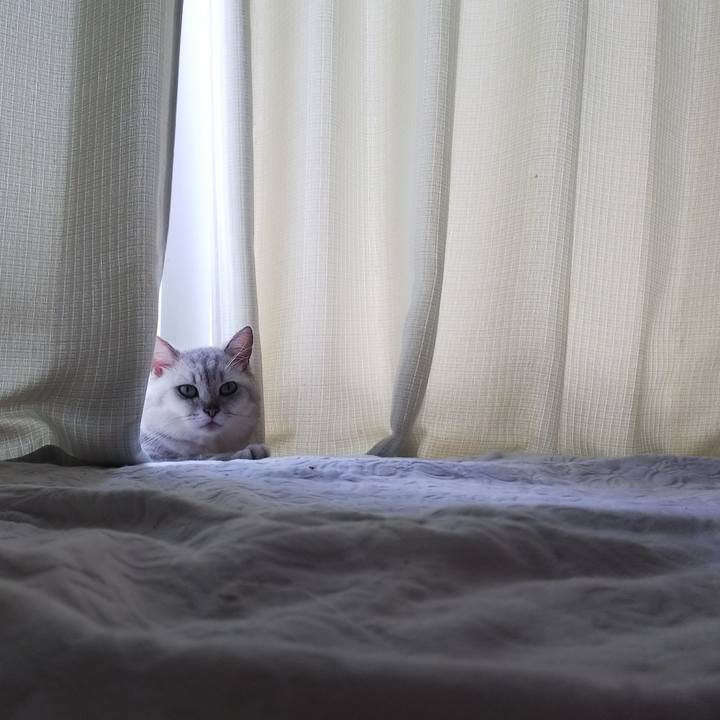 5ef9e845 3e07 43ed 80f7 d9fbd1ba3934 1537064746720