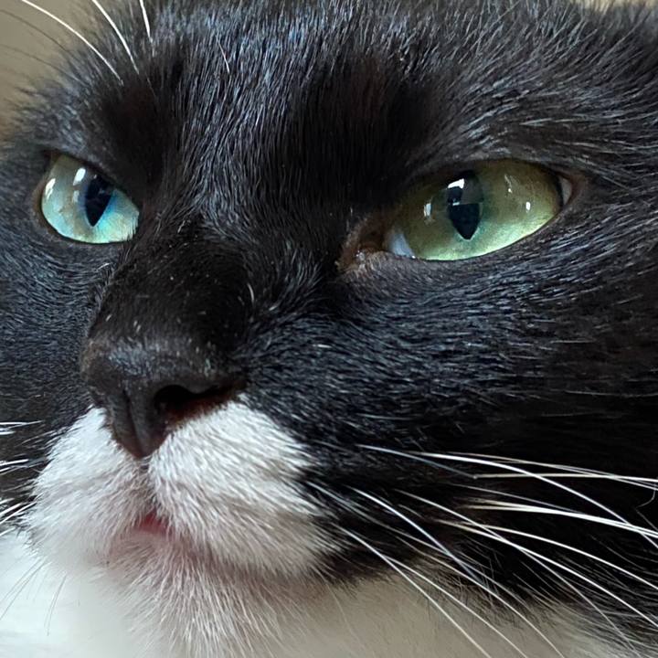 5efa6141 a8cf 4581 acaf 895e6c052c0c 1596722607301