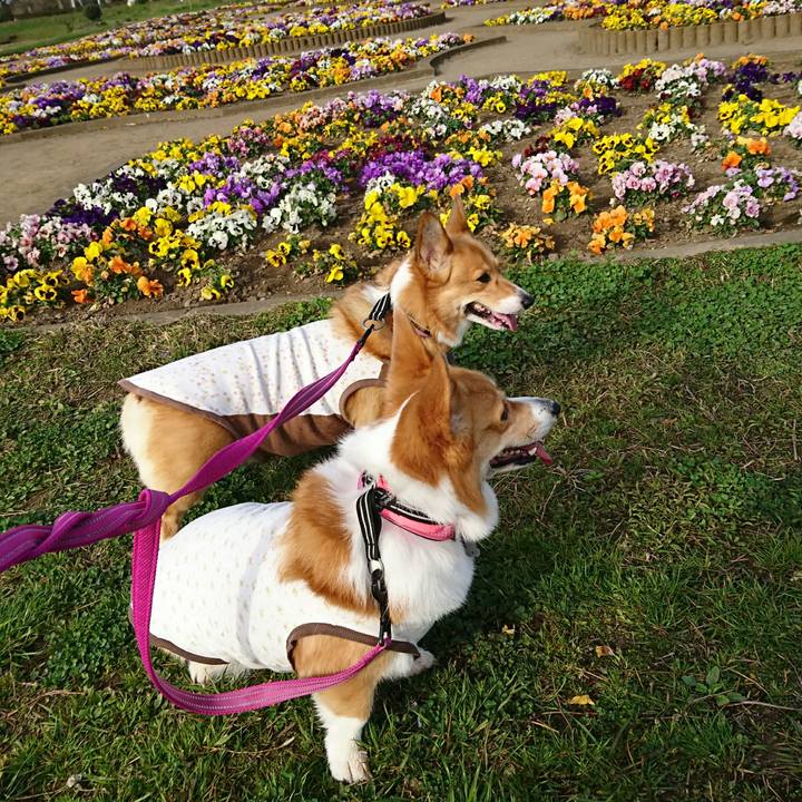 5efa7992 e45b 48ed 9f42 cd0e7538e7a7 1553214020180